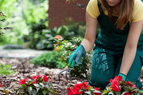 Eco-friendly garden clearance practices