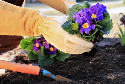 Lawn mowed regularly enhancing Chelsea home's curb appeal