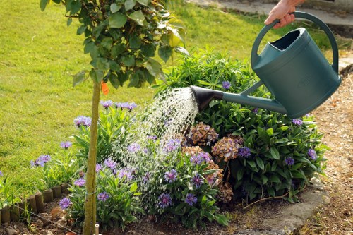 Seasonal tree care in Chelsea
