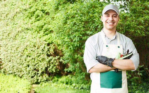 Professional gardener working in Chelsea