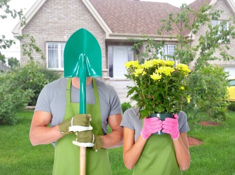 Sustainable garden practices in Chelsea