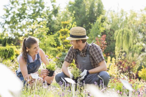 Comprehensive lawn care services including edging and trimming